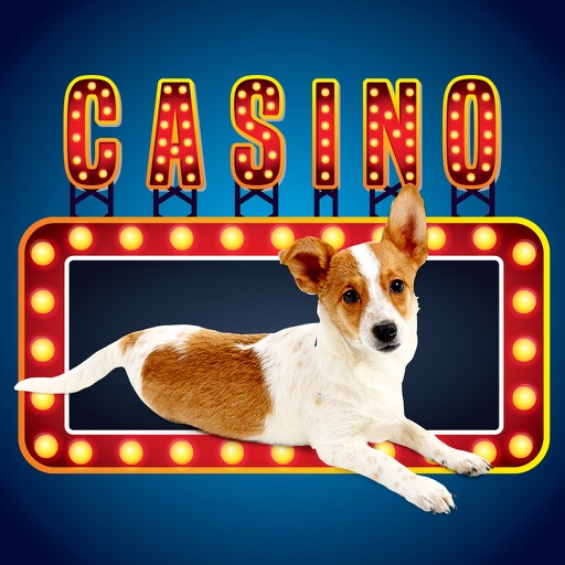 Lucky Pup Wild Casino