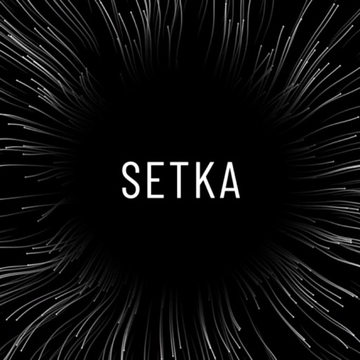 SETKA: медитация и интеллект