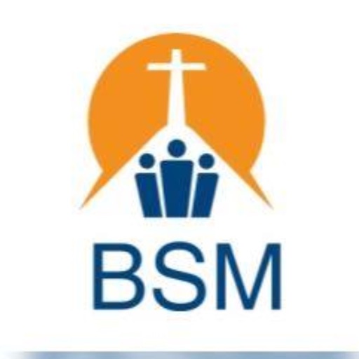 BSM RADIO-TV