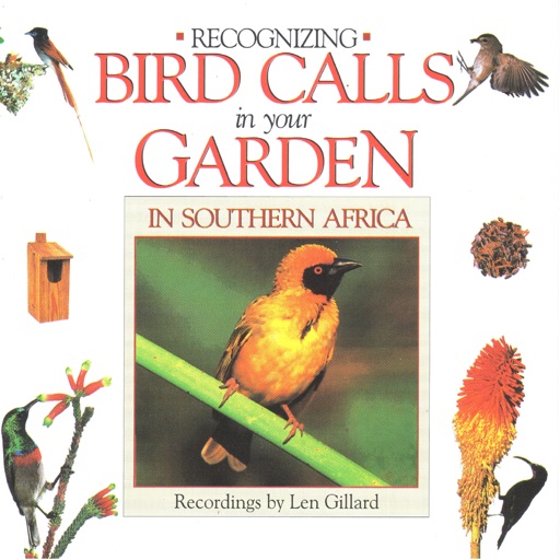 Bird Calls in your Garden in Southern Africa