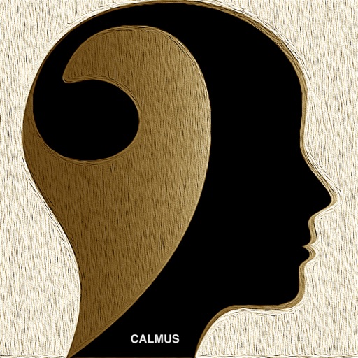 CalmusPlay