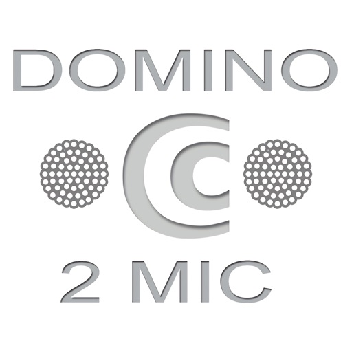 DOMINO 2MIC SETTING