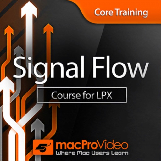 Signal Flow Guide for LPX