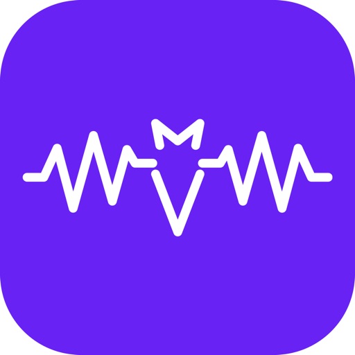 BizBat - The Music Network