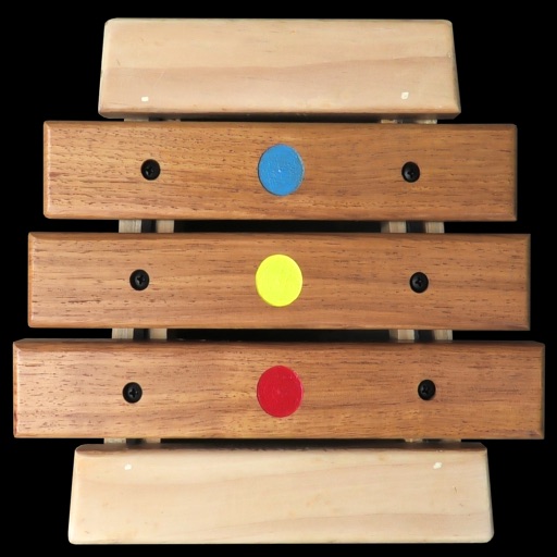 Xylophone - Musical Muscles