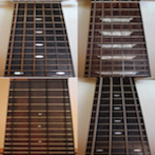 Super Guitar Fretboard Addict