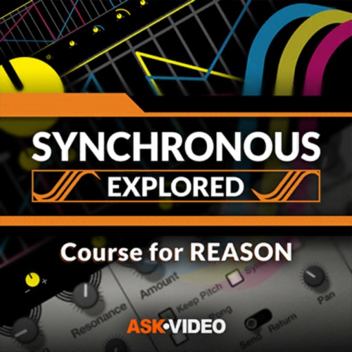 Synchronous Course for Reason