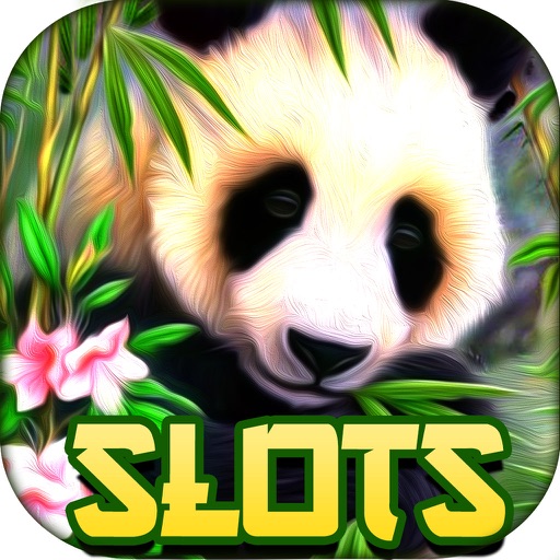 Wild Diamond Panda Slots Free Slot Machines Games