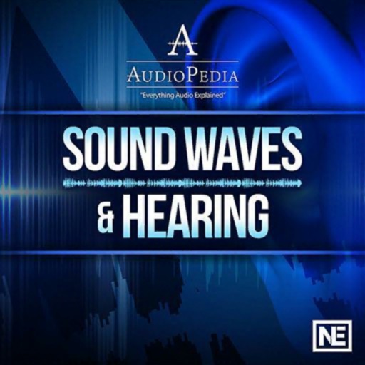 Sound Waves and Hearing Guide